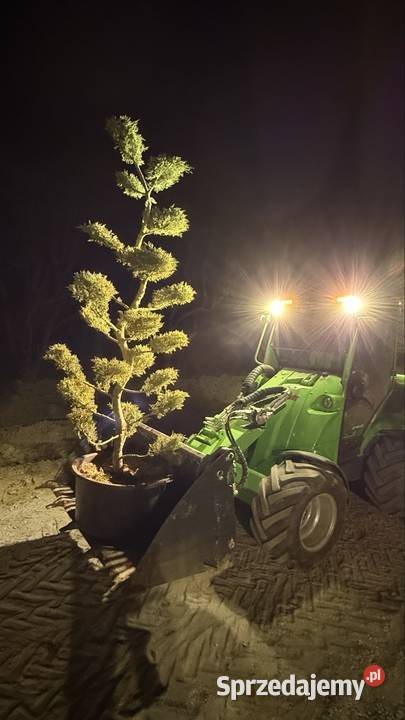 KOMPLEKSOWE USŁUGI AVANT 760i Transport Wywrotka małopolskie Garliczka