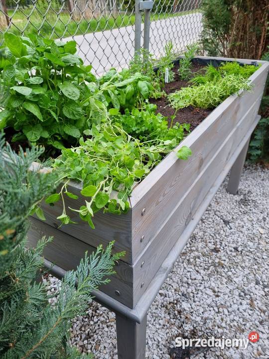 Zielnik drewniany na nogach warzywnik skrzynia Kalety sprzedam