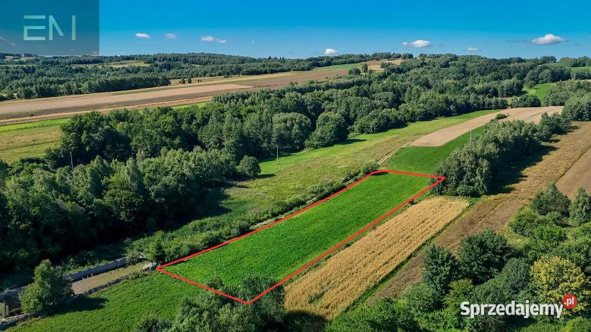 Grunt Harta 3200m2 28m podkarpackie