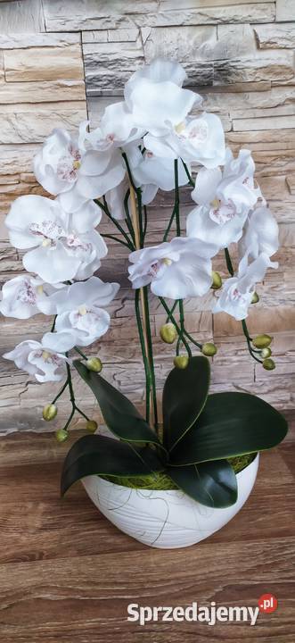 Storczyki sztuczne wielokolorowy