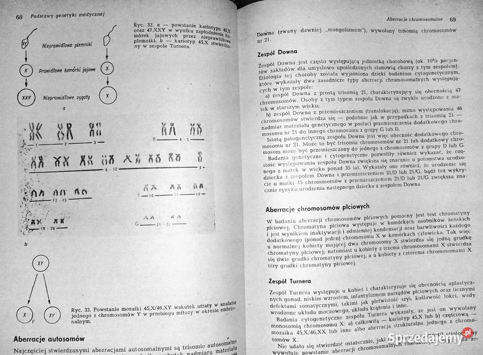 Endokrynologia kliniczna Tom 1 Walenty Hartwig Chełm sprzedam