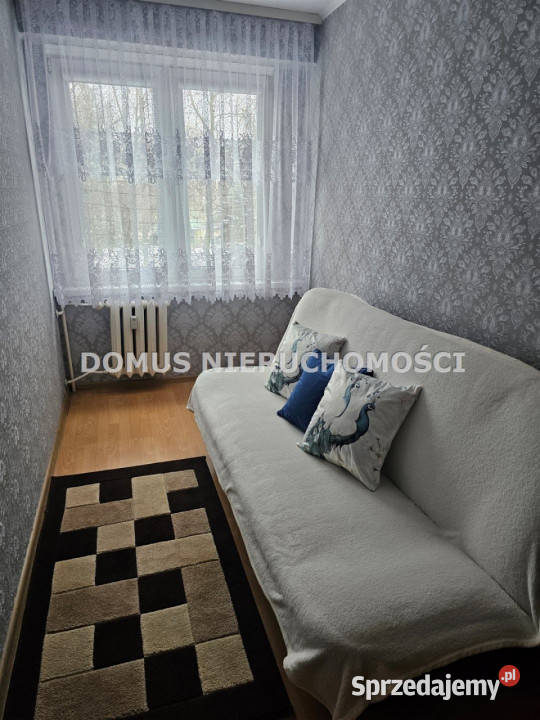 Mieszkanie Brzeziny 323m2 2 pokojowe Piętro 1 sprzedam