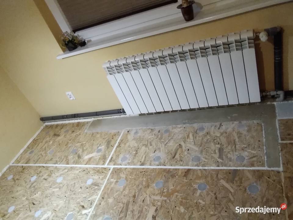 Mieszkanie dwa garaże poddasze duża posesja Wąwał