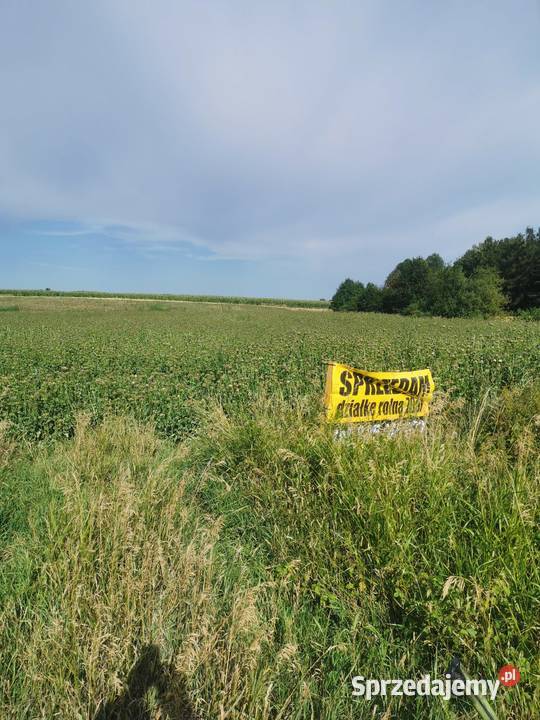 Działka rolna ziemia orna Sprzedaż łódzkie Mokrsko