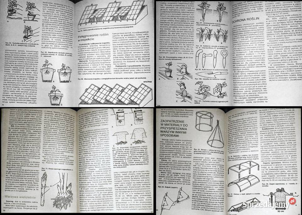 na działce D Haas Z Kawecki J Marcinkowski Chełm
