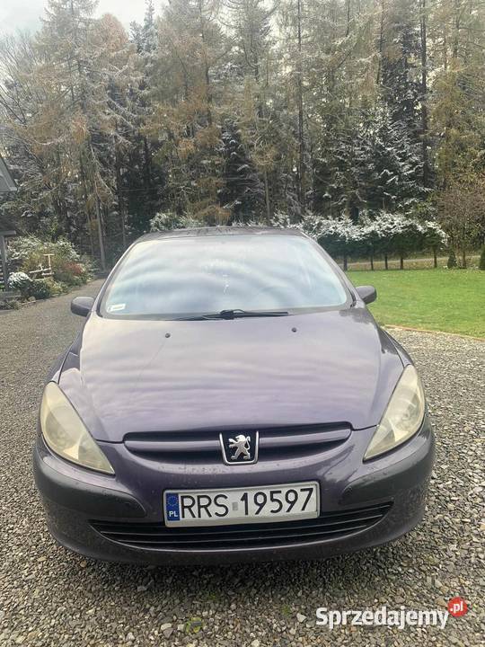 Peugeot 307 16 benzyna Gnojnica