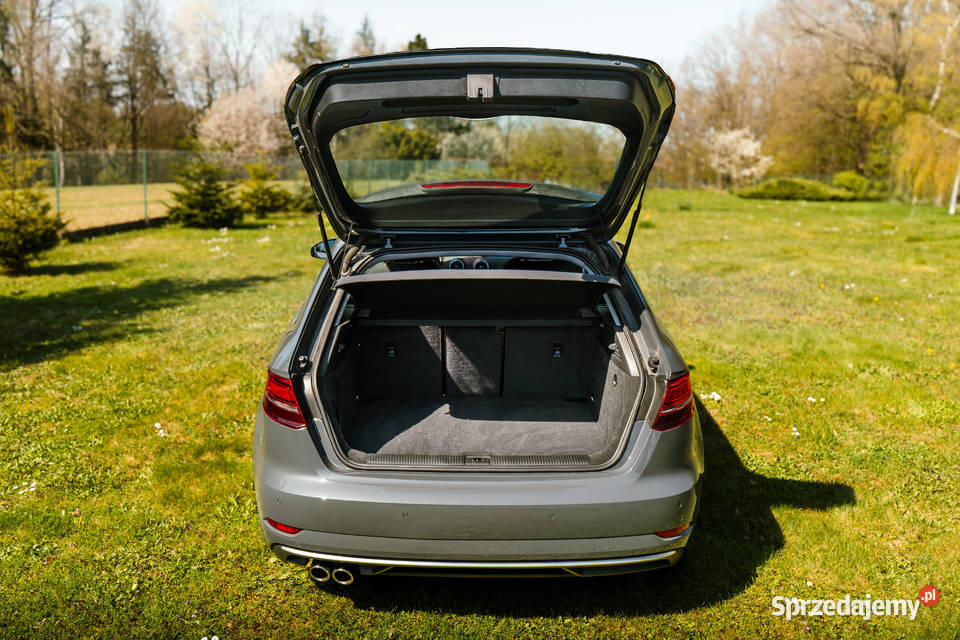 Audi a3 8v śląskie Hażlach