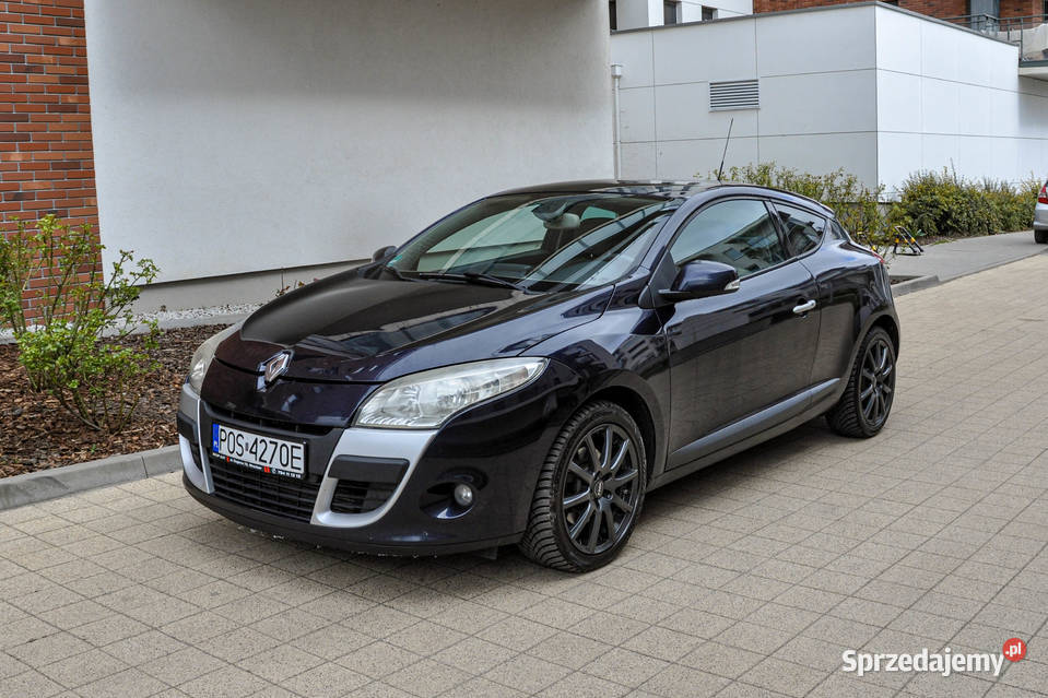 Renault Megane 20dCi 160 Skóry Bezwypadkowy dolnośląskie