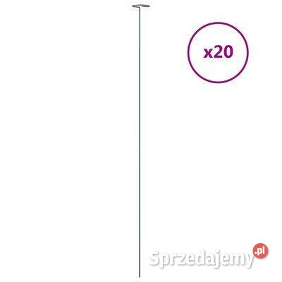 vidaXL Podpórki do roślin 20 ciemnozielone 91 Wsporniki