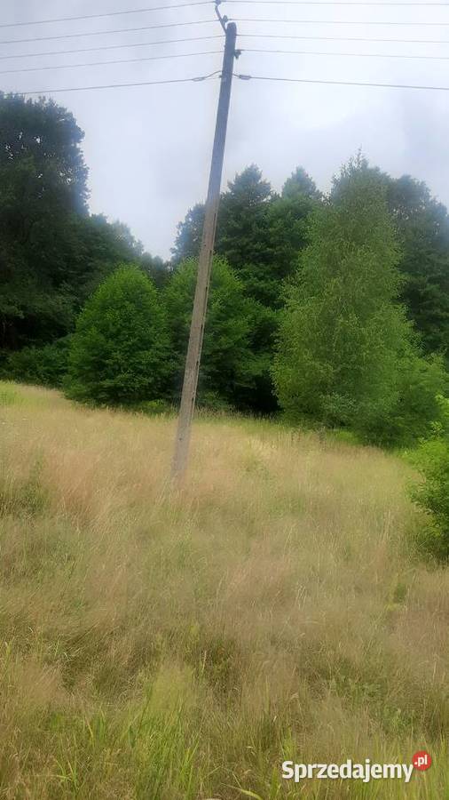 Sprzedam 2 działki rolno leśne las budowlana Kolonia Giżyce