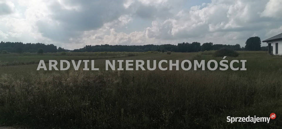 Grunt Ciasne Wczasowa 8000m2 22.3m Sprzedaż