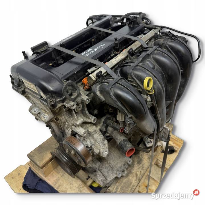 SILNIK Q7DA Ford Focus II MK2 C C 18 16V 125 Chełm