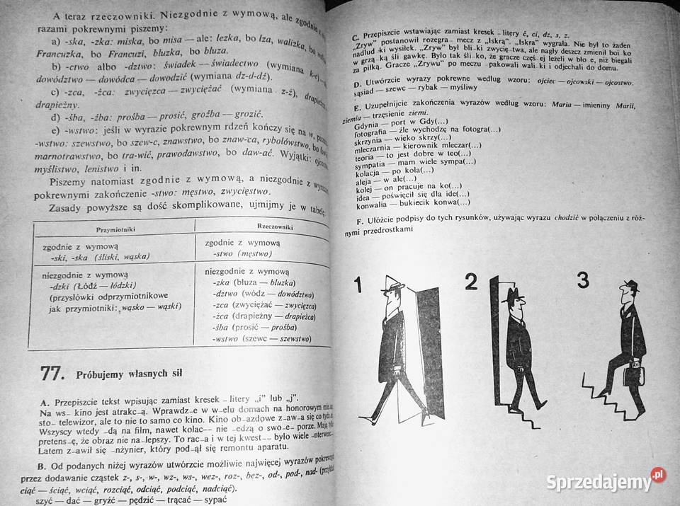 Język polski na co dzień Ewa i Feliks Przyłubscy lubelskie Chełm sprzedam