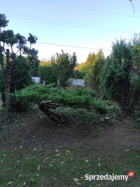 Sprzedam działkę rekreacyjną Rod wielkopolskie Poznań