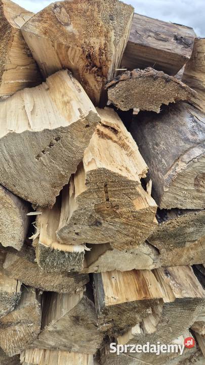 Drewno kominkowe liściaste dolnośląskie Wrocław