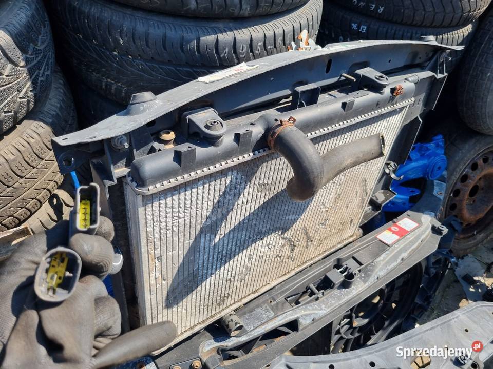 Citroen Xsara Picasso 1 16 HDi 20 Pas Przedni Skawina