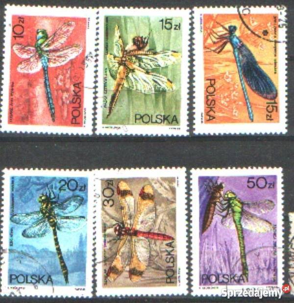 Zn Fi 2986 91 kas 1988 Gliwice