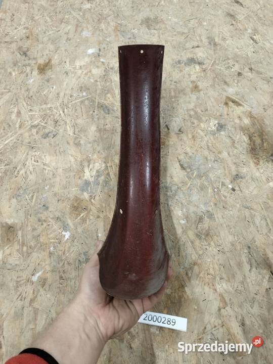 Komar błotnik przedni Rozkochów