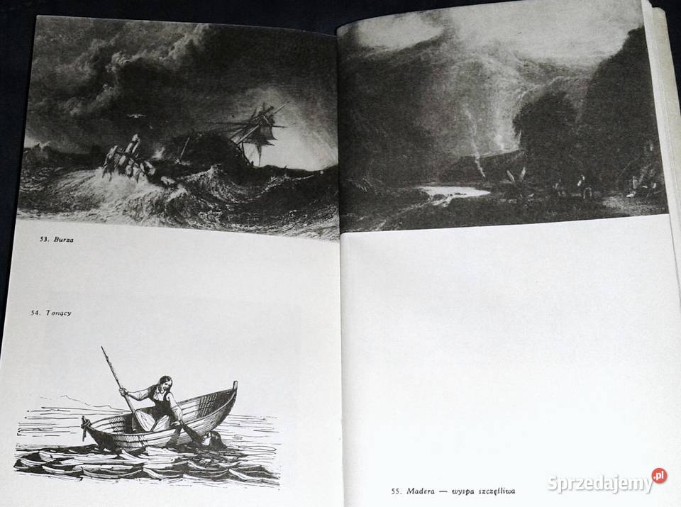 Błękitny kwiat Janina KamionkaStraszakowa Chełm sprzedam