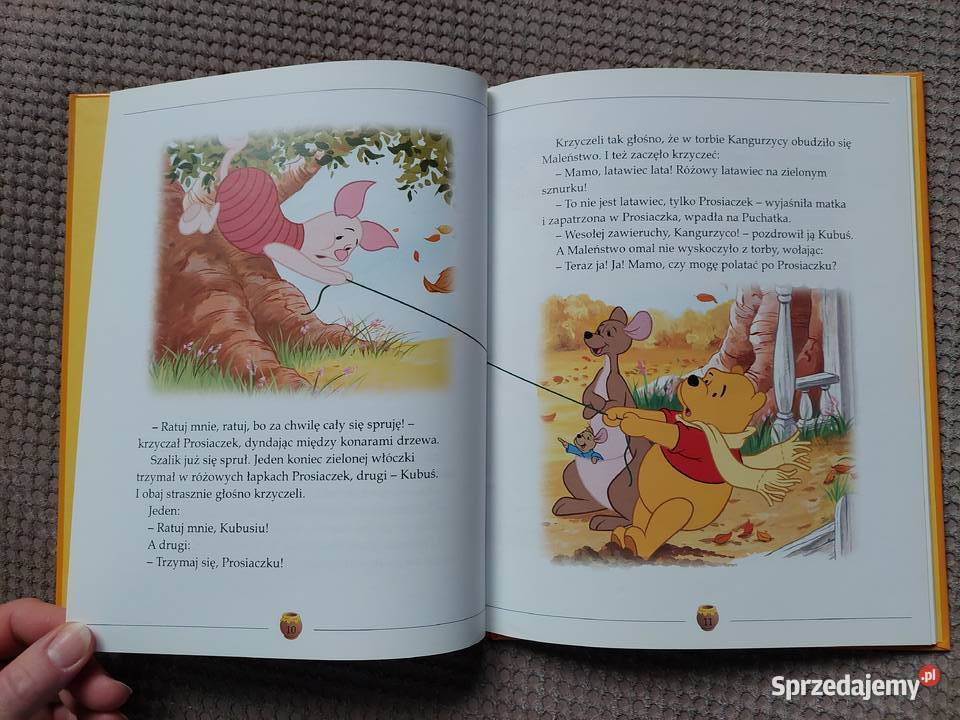 Zwariowana zawierucha Przygody Kubusia Puchatka Kraków