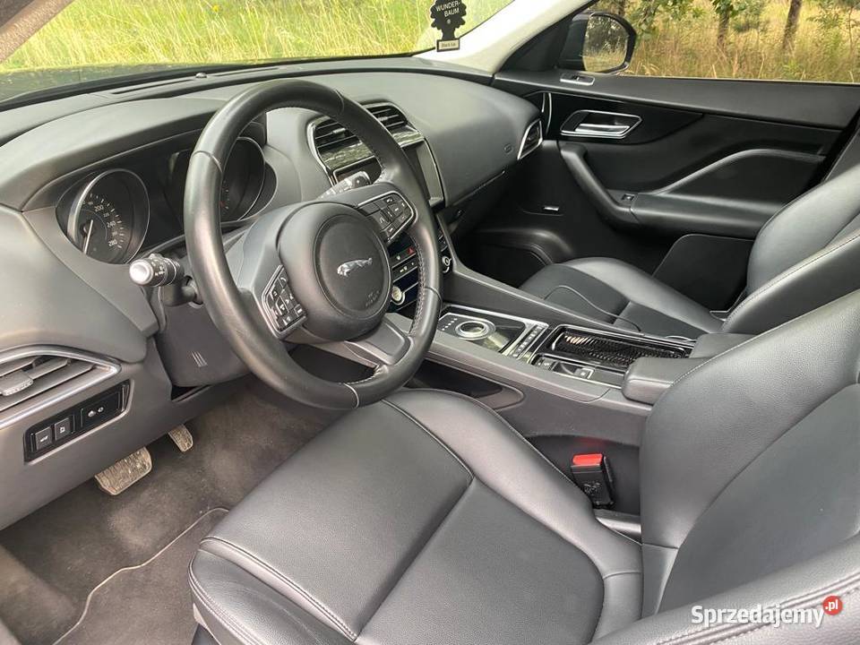 Piękny Jaguar F Pace Poznań