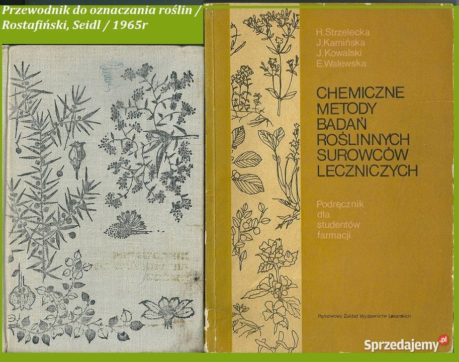 Przewodnik do oznaczania roślin Rostafiński Książki naukowe i popularnonaukowe Łódź