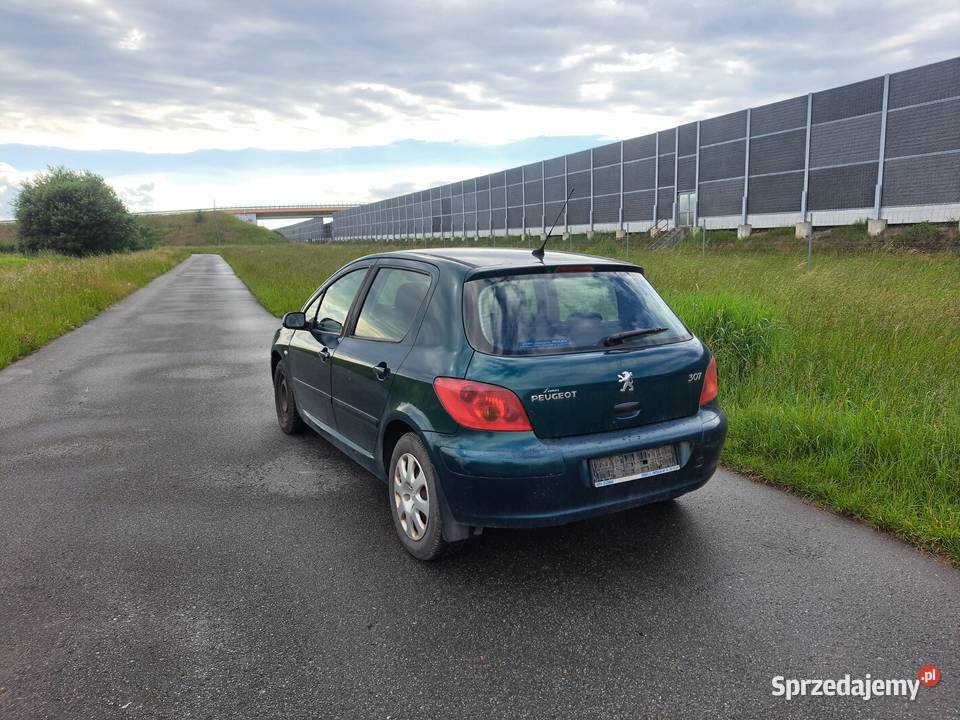 Pegot nieuszkodzony Bochnia