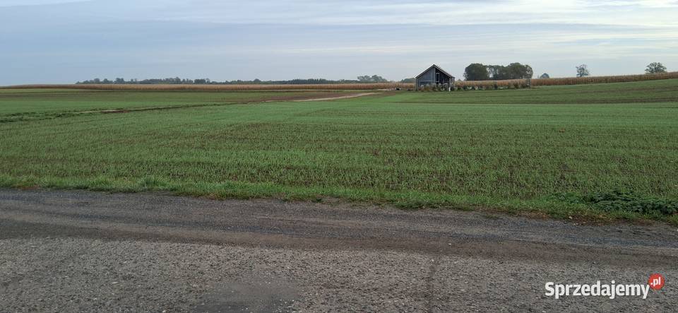 StargardKiczarowo DZIAŁKA 2728 m24WZ Kiczarowo