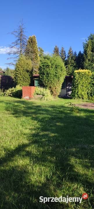 Działka ROD Konwalia Pyskowice