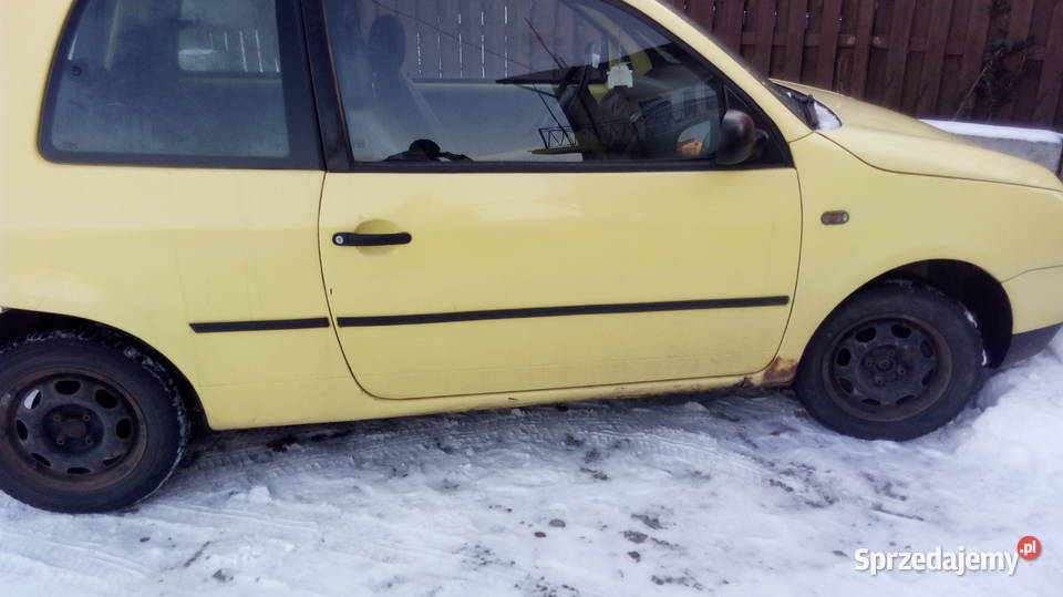 WW LUPO 10 immobilizer Nowy Sącz