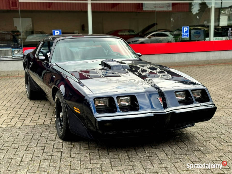 Pontiac Firebird Trans Am MIDNIGHT BLUE 1981 do benzyna Pontiac Sulechów