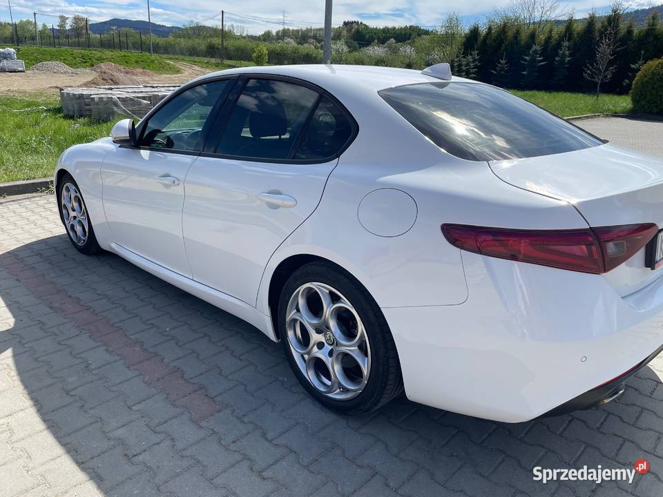 Alfa Romeo Gulia 22 jtdm Nowy Wiśnicz