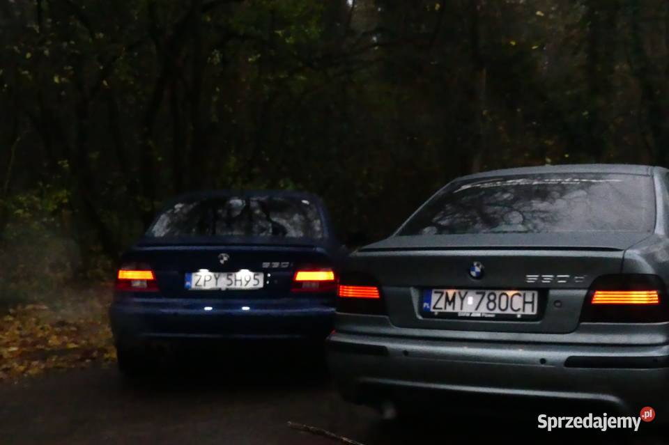Bmw e39 530i M54b30 zachodniopomorskie Czerników
