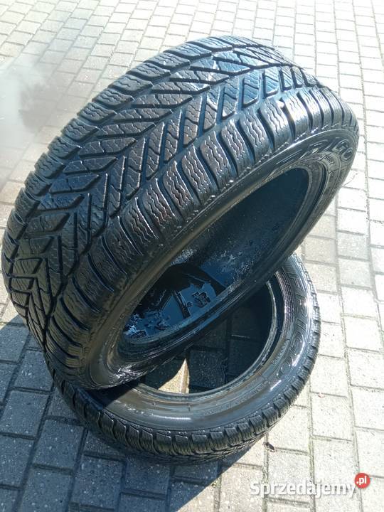 opony 2055516 r DĘBICA FRIGO ms 91 t nie 205