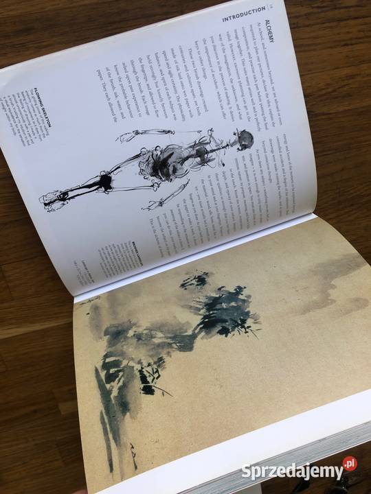 The Drawing Book Sarah Simblet DK Szramowo