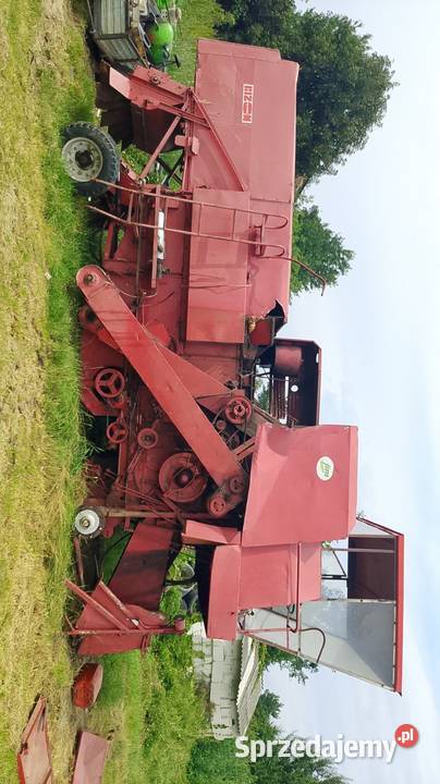 Sprzedam bizon z040 Chmiel Pierwszy