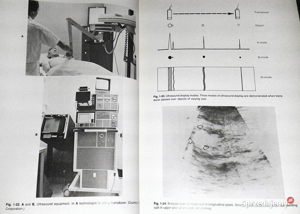 Introduction to Clinical Radiology Richard Pozostałe Chełm