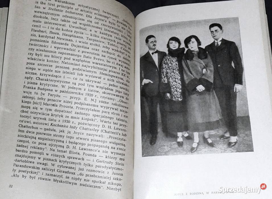 Telemach w labiryncie świata O twórczości Jamesa Chełm