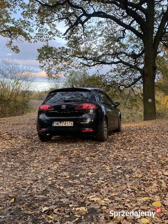 2007 SEAT Leon 21p diesel Kędzierzyn-Koźle
