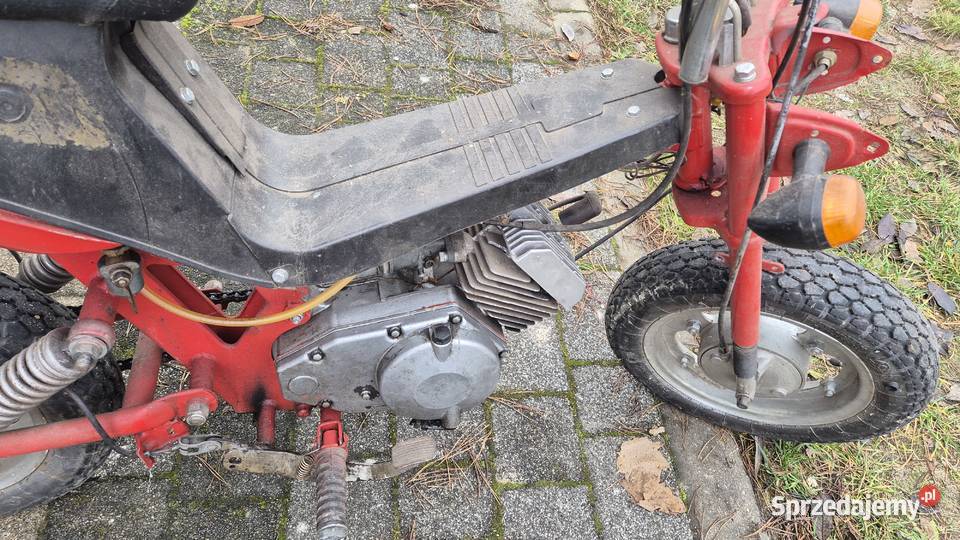 Motorynka stella Motoryzacja Hryniewicze