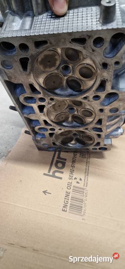 Głowice 30 V6 ASN AUDI A4 B6 Kończyce Małe