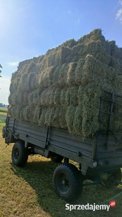 sprzedam siano kostka sipma zbiór 2026 Pozostałe