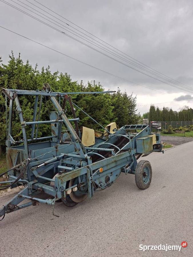 Kombajn karlik do ziemniaków świętokrzyskie Krajno-Parcele