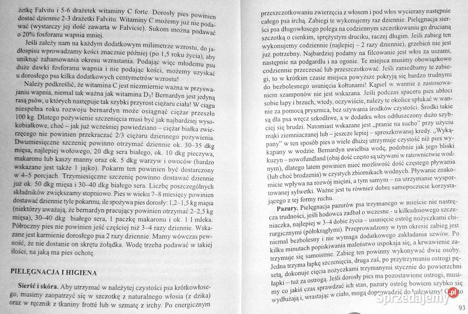 Bernardyn Andrzej Marciniec Chełm