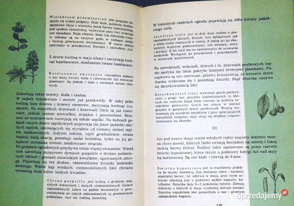 Kalendarz przyrody Henryk Sandner Zdzisława Rok wydania 1966 Chełm