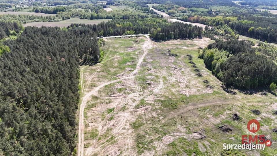 Grunt 4046m2 Wasilków