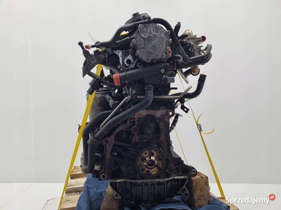 SILNIK VW Golf V Jetta III Touran Passat B6 19 osobowe Rudka