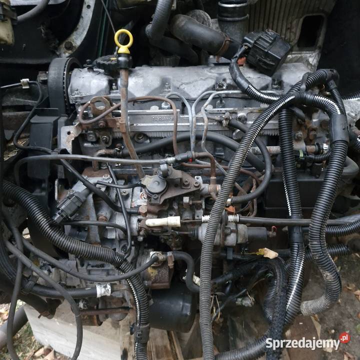 Silnik 25 D Master 80 koni Krzyszkowice