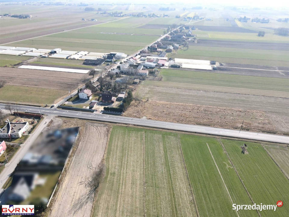 Działka Gomulin 16400m2