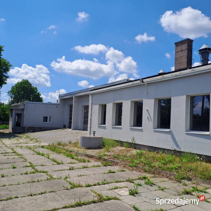 wynajmę magazyn hale produkcyjne w Wodzisławiu 1100m2 Wynajem Wodzisław